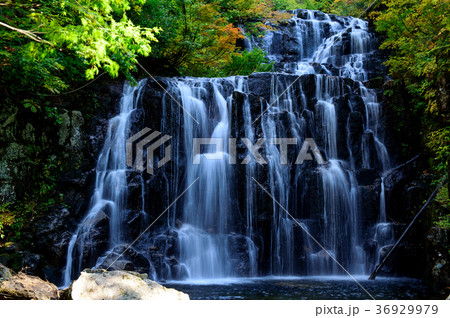 立又渓谷 二の滝 秋田県 立又渓谷 二の滝 秋田県 36929979