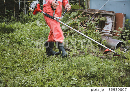 farm 36930007