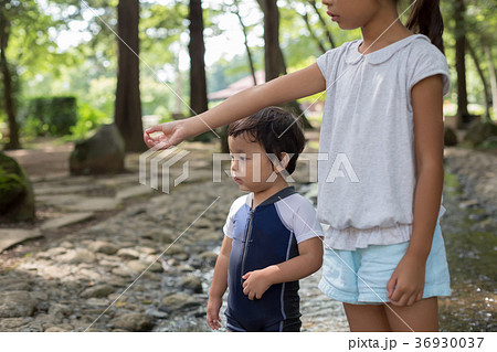 2 years old　&　8 years old 36930037