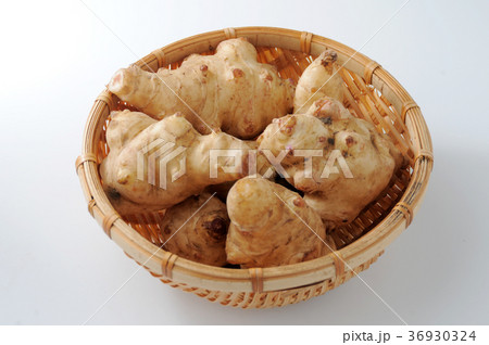 菊芋 菊芋 36930324