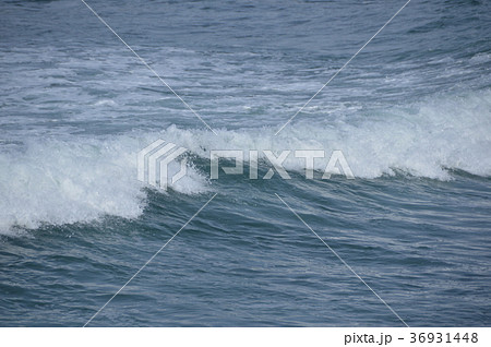 寄せる波（岩瀬浜海水浴場／富山県富山市岩瀬） 36931448