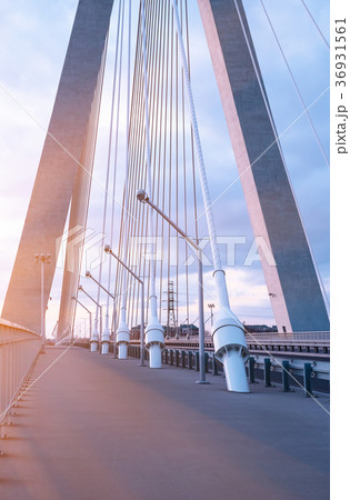 Highway going through a cable-stayed bridge 36931561