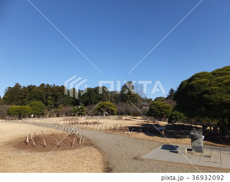 千波公園 36932092