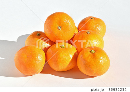 山北みかん 36932252