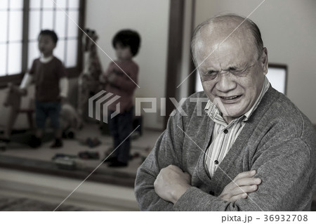 孫疲れ　シニア 36932708