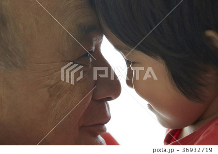 孫と祖父　愛情 36932719