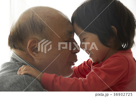孫と祖父　愛情 36932725