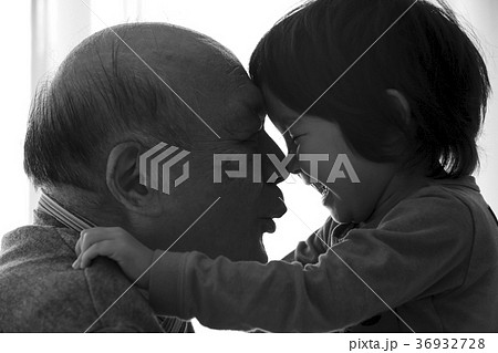 孫と祖父　愛情 36932728
