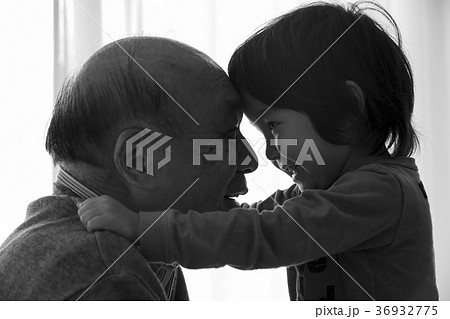 孫と祖父　愛情 36932775