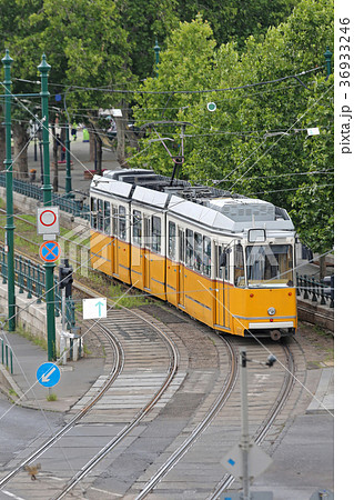Budapest Tram 36933246