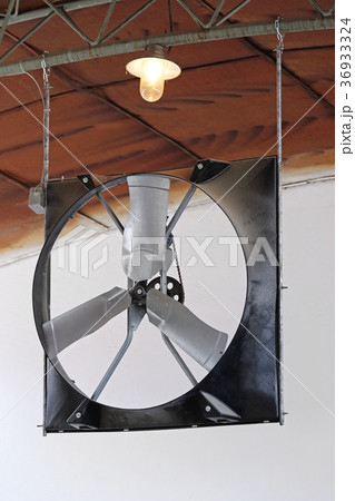 Fan in Barn Fan in Barn 36933324