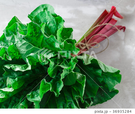 Fresh organic rhubarb on grey concrete background 36935284