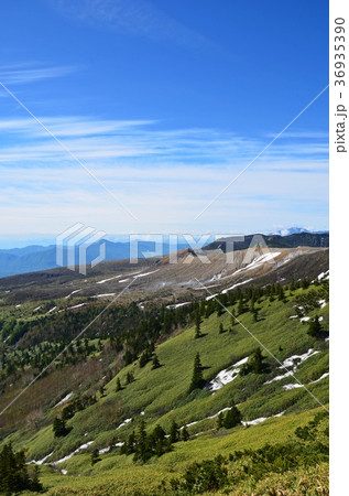 国道最高地点から見る草津白根山と初夏の芳ヶ平 36935390