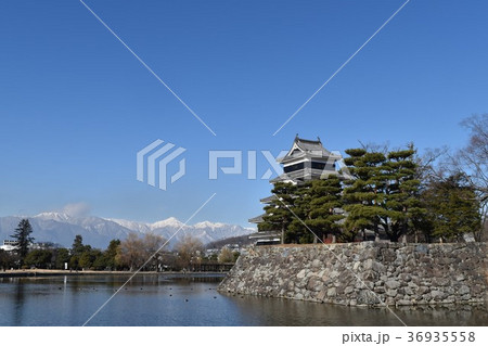 松本城　冬晴れ 36935558