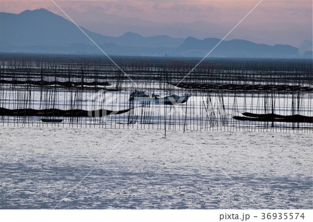 佐賀の海苔 36935574