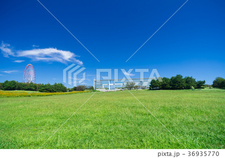 葛西臨海公園 36935770