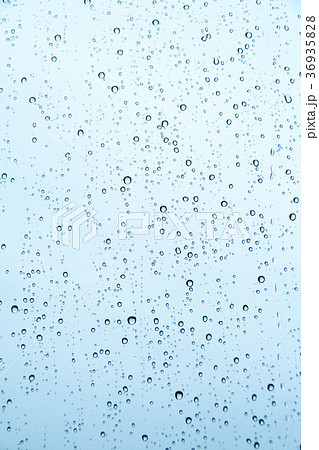雨の雫 雨の雫 36935828