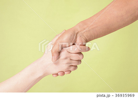 握手をする男女の手 握手をする男女の手 36935969