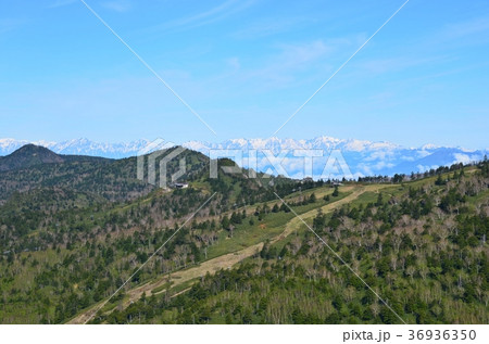初夏の万座高原 初夏の万座高原 36936350