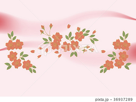 春の壁紙 和柄の壁紙 桜の壁紙素材 のイラスト素材 36937289 Pixta