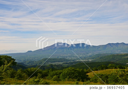 嬬恋牧場から浅間山の眺め 嬬恋牧場から浅間山の眺め 36937405