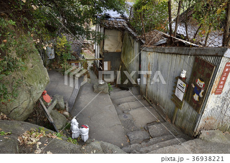 尾道　猫の細道（広島県尾道市） 36938221