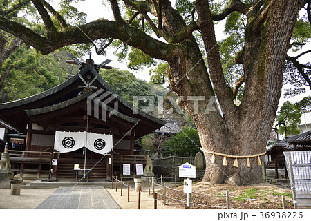 尾道　艮神社（広島県尾道市） 36938226