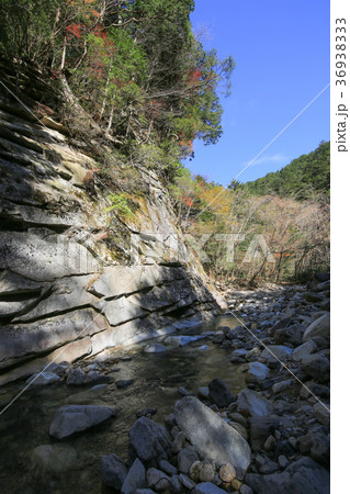 愛媛県久万高原町 面河渓 紅葉石 愛媛県久万高原町 面河渓 紅葉石 36938333
