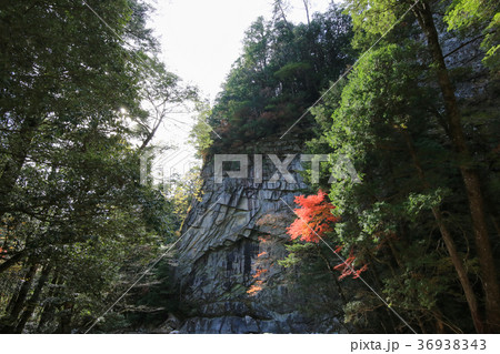 愛媛県久万高原町 面河渓 お月岩 愛媛県久万高原町 面河渓 お月岩 36938343