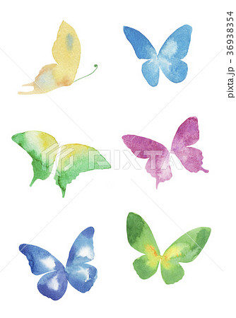 蝶のバリエーション 水彩イラストのイラスト素材