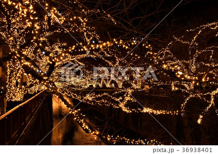 目黒川のイルミネーション 目黒川のイルミネーション 36938401