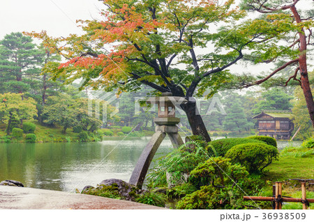 秋雨の兼六園 36938509