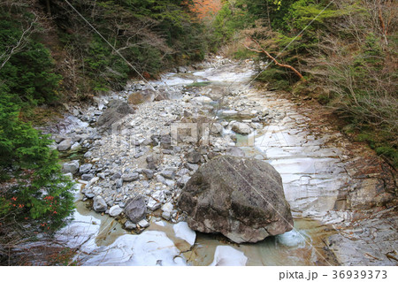 愛媛県久万高原町 面河渓 鉄砲石川コースの風景 愛媛県久万高原町 面河渓 鉄砲石川コースの風景 36939373