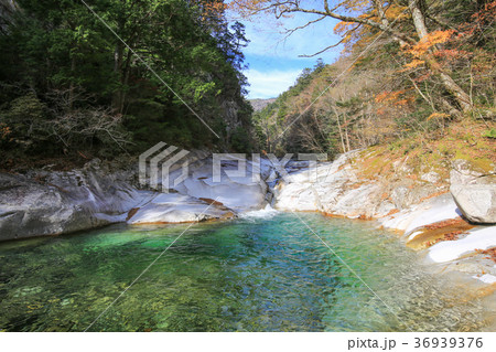 愛媛県久万高原町　面河渓　鉄砲石川コースの風景 36939376