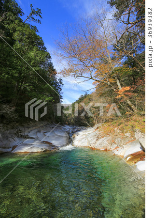 愛媛県久万高原町　面河渓　鉄砲石川コースの風景 36939382