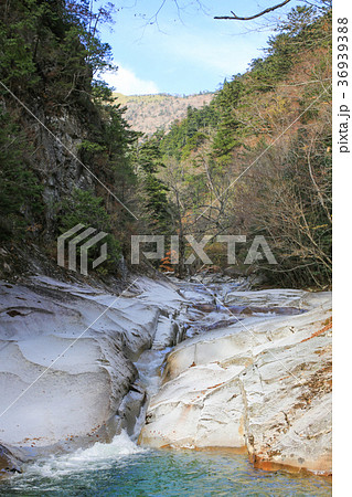 愛媛県久万高原町 面河渓 鉄砲石川コースの風景 愛媛県久万高原町 面河渓 鉄砲石川コースの風景 36939388