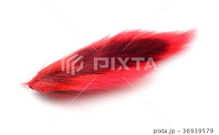 Back tail deer for fly fishing Back tail deer for fly fishing 36939579