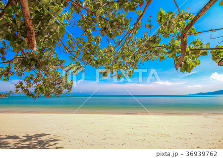 Tropical sea beach 36939762