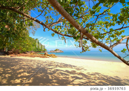 Tropical sea beach 36939763