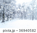 Winter  snowfall landscape. Snowy park. 36940582