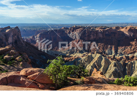 Canyonlands National Park 36940806