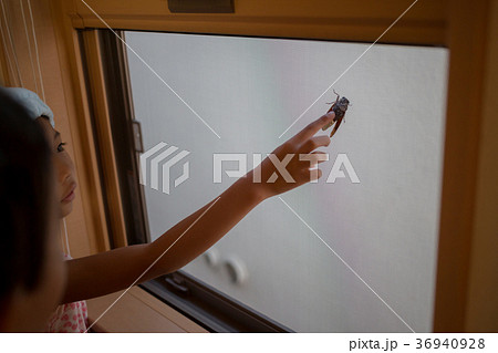 2 years old 36940928