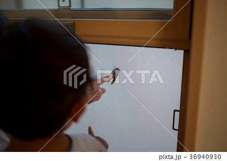 2 years old 36940930