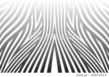 Abstract  lines pattern. 36941013