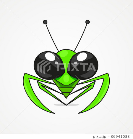 Mantis vector illustration 36941088