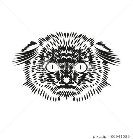 cute cat illustration series cute cat illustration series 36941089