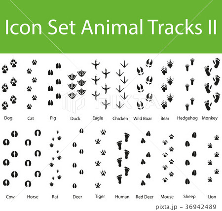 Icon Set Animal Tracks II 36942489