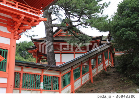 日御崎神社 境内 日御崎神社 境内 36943280