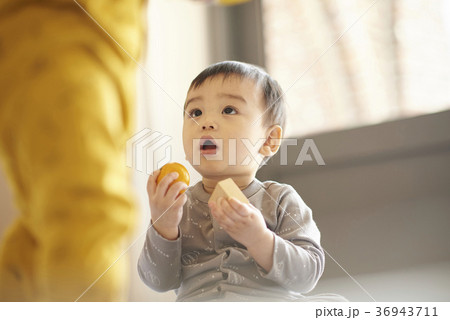 フルーツ 果物 みかん 36943711