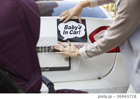 サイン ステッカー シール 36943728